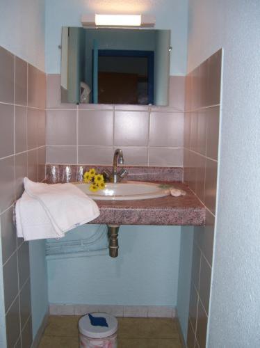 Citotel Hotel Le Commerce Sévérac-le-Château Szoba fotó